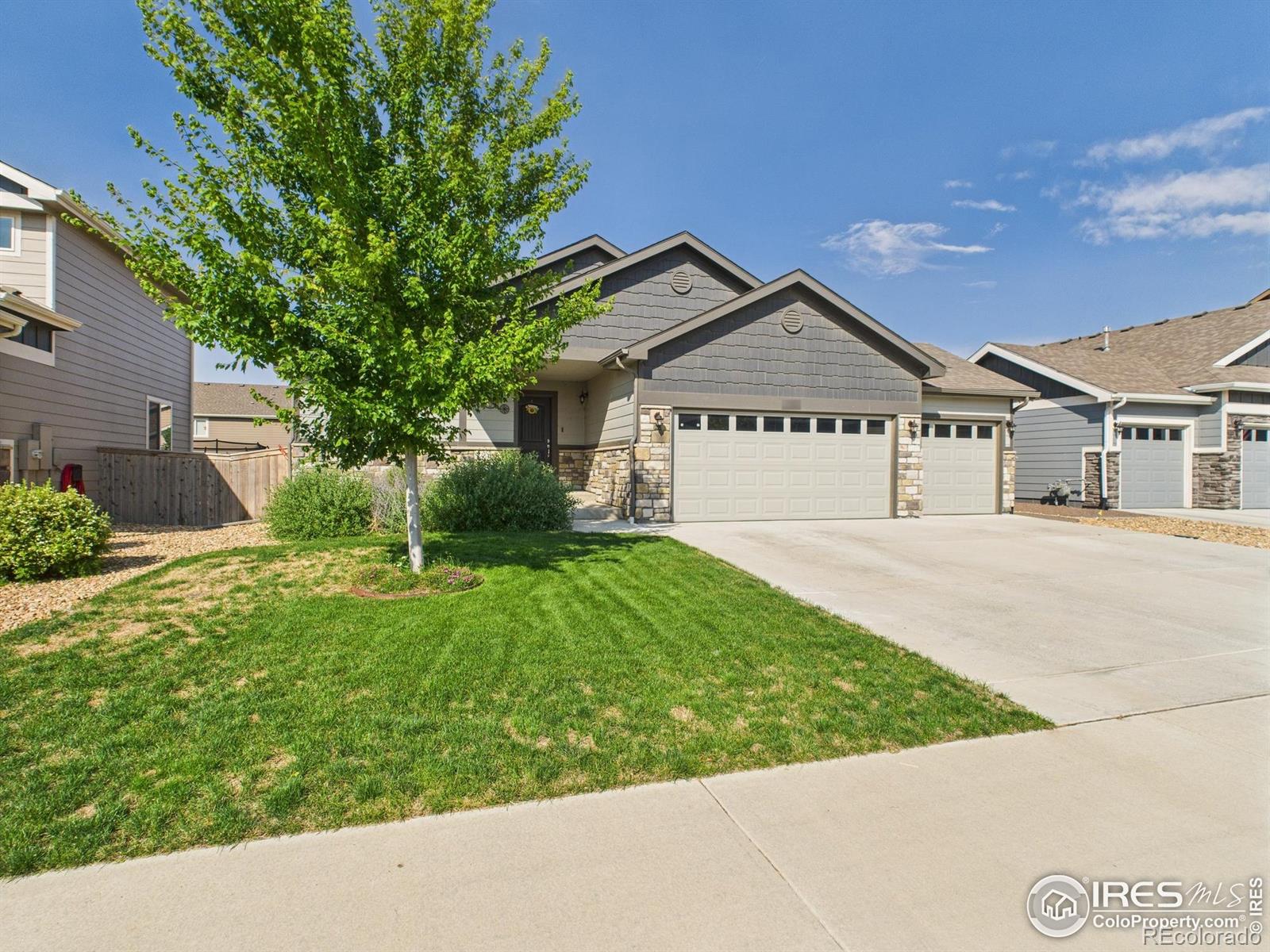 MLS Image #2 for 1729  avery plaza street,severance, Colorado
