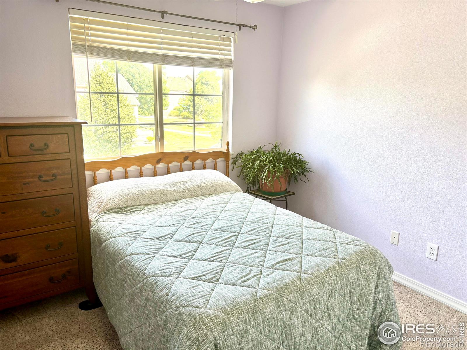 MLS Image #11 for 6721  antigua drive,fort collins, Colorado