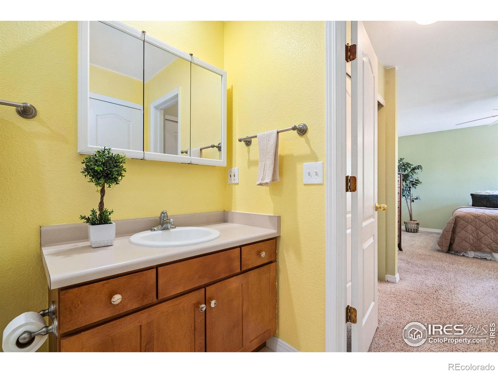 MLS Image #22 for 6721  antigua drive,fort collins, Colorado