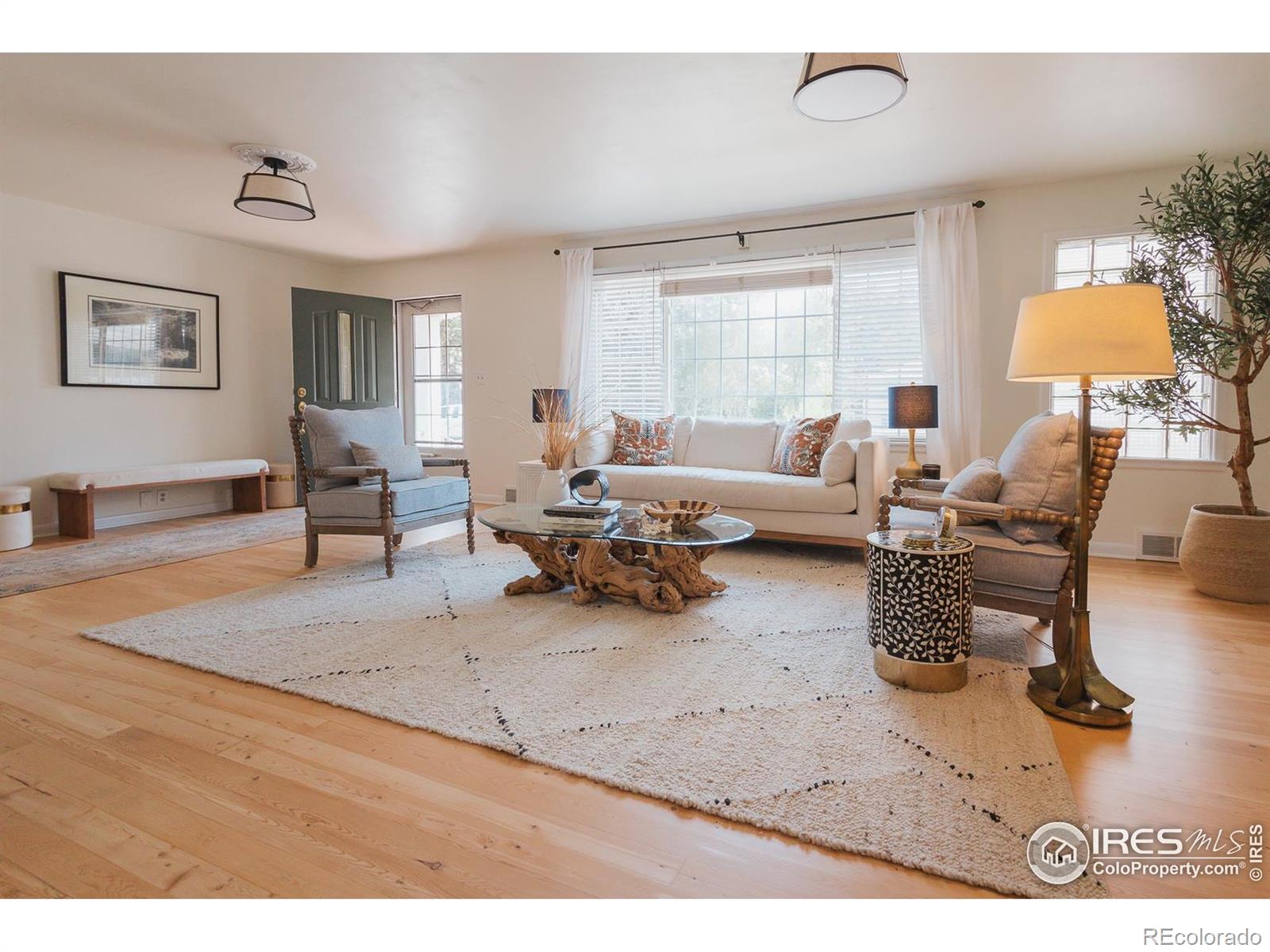 MLS Image #4 for 1539  peterson street,fort collins, Colorado