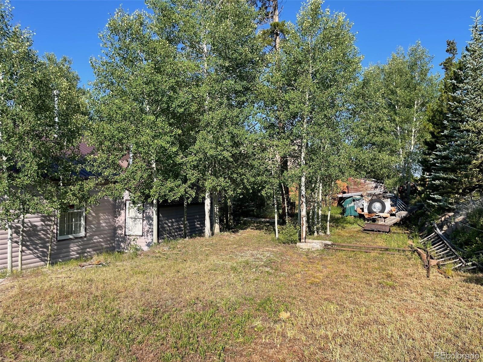 MLS Image #4 for 53  alpine drive,tabernash, Colorado