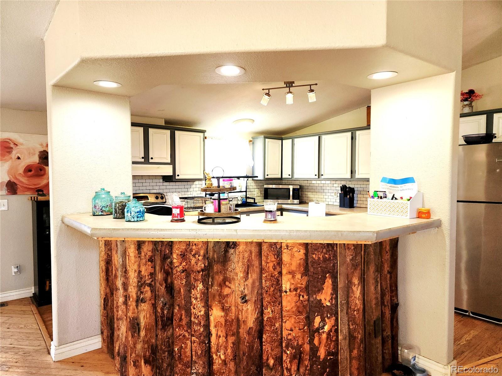 MLS Image #10 for 160  shannon court,rockvale, Colorado