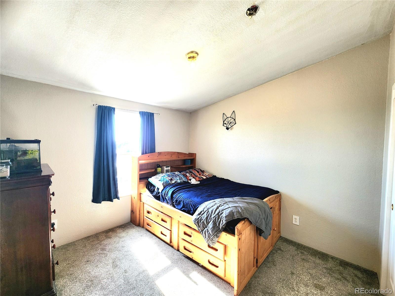 MLS Image #17 for 160  shannon court,rockvale, Colorado