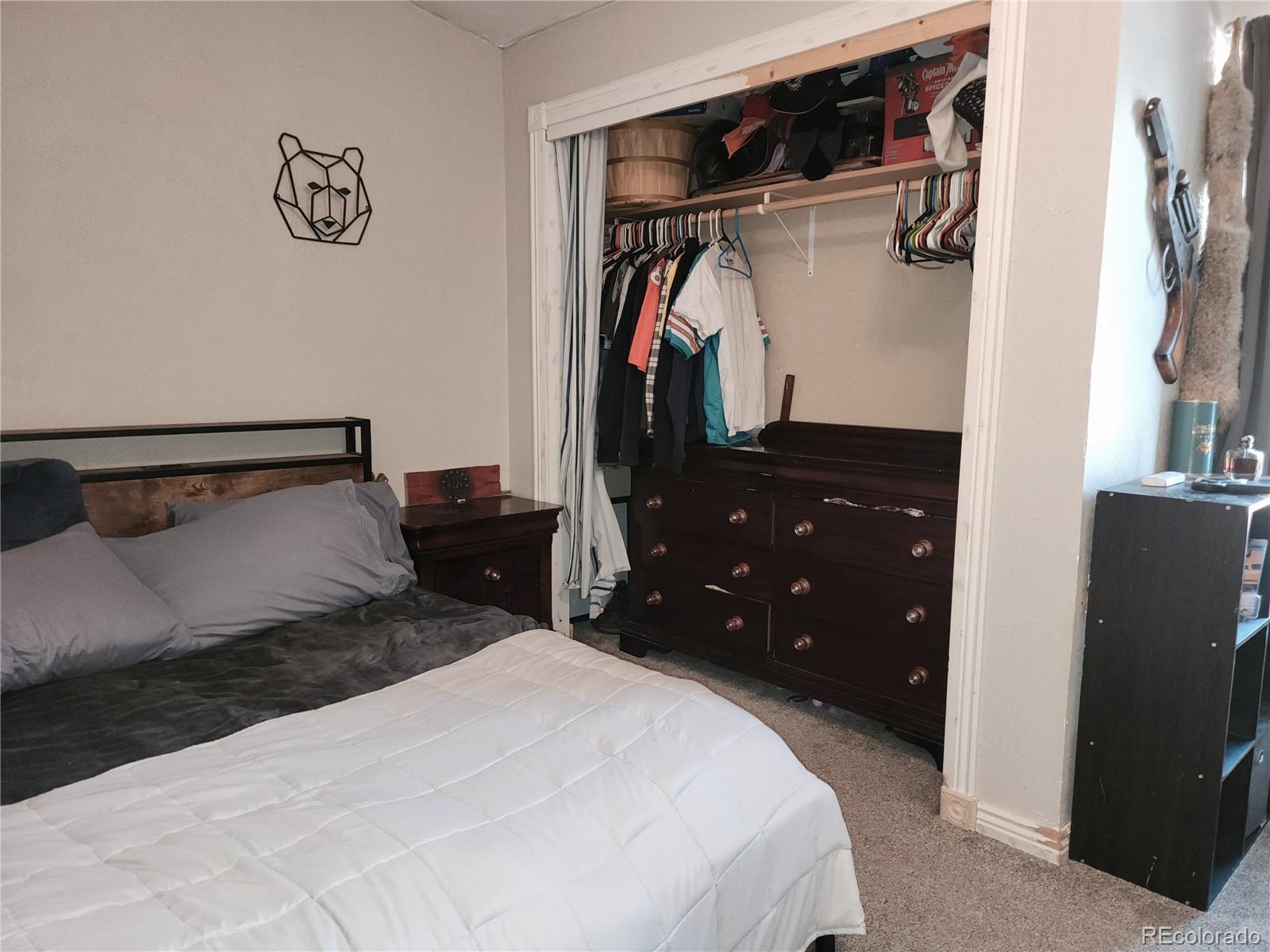 MLS Image #27 for 160  shannon court,rockvale, Colorado