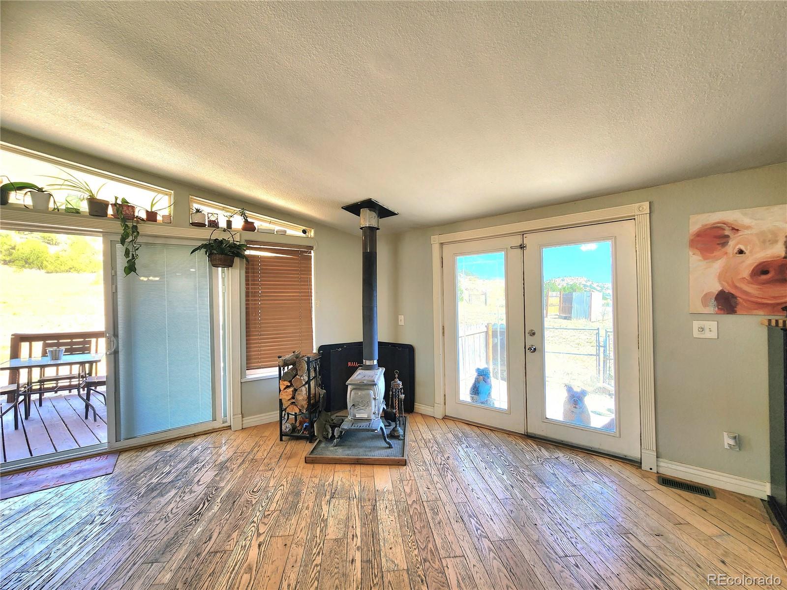 MLS Image #9 for 160  shannon court,rockvale, Colorado