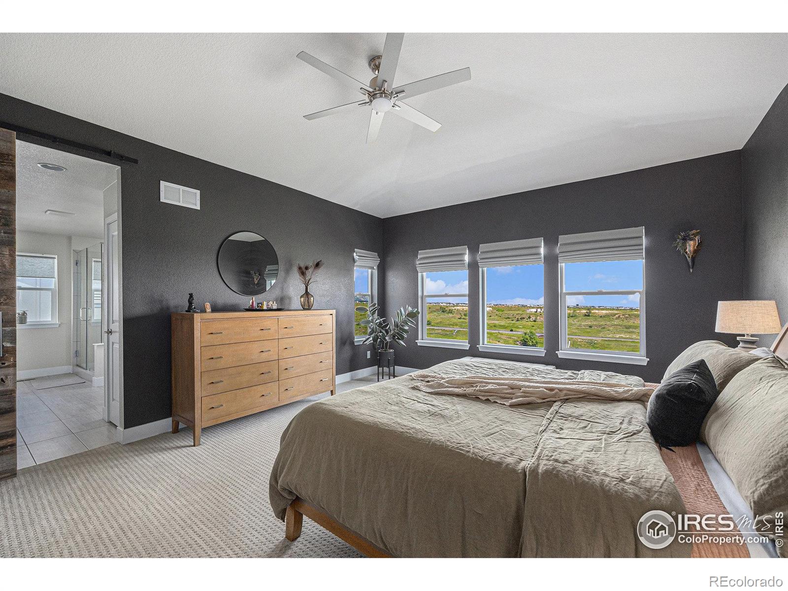 MLS Image #10 for 19239 w 88th drive,arvada, Colorado
