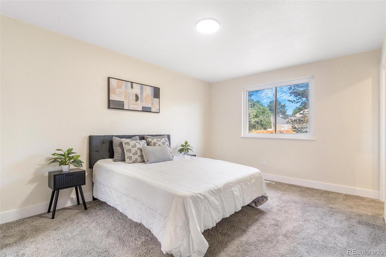 MLS Image #8 for 3480 e 119th street,thornton, Colorado
