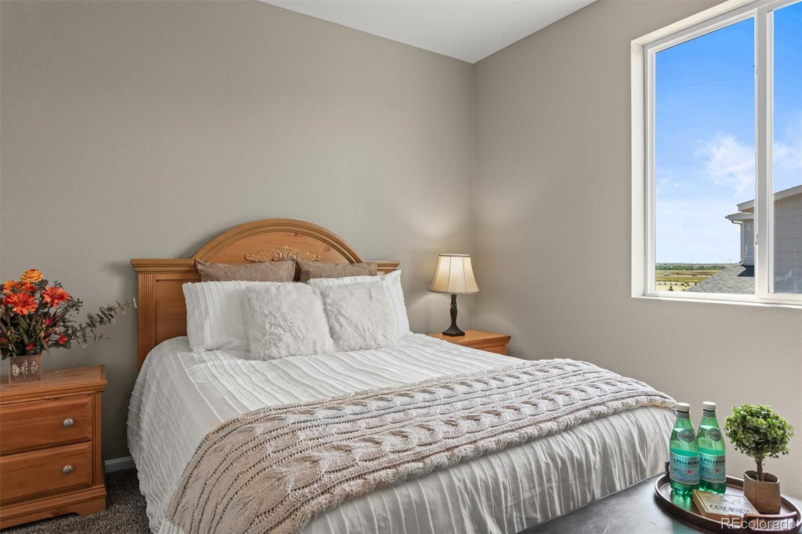 MLS Image #30 for 23534 e 5th place,aurora, Colorado