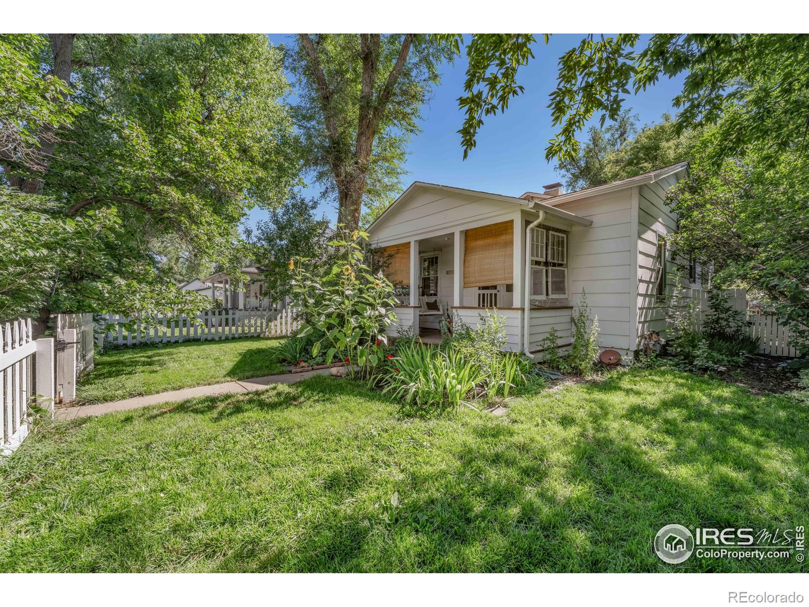 MLS Image #3 for 940  gay street,longmont, Colorado