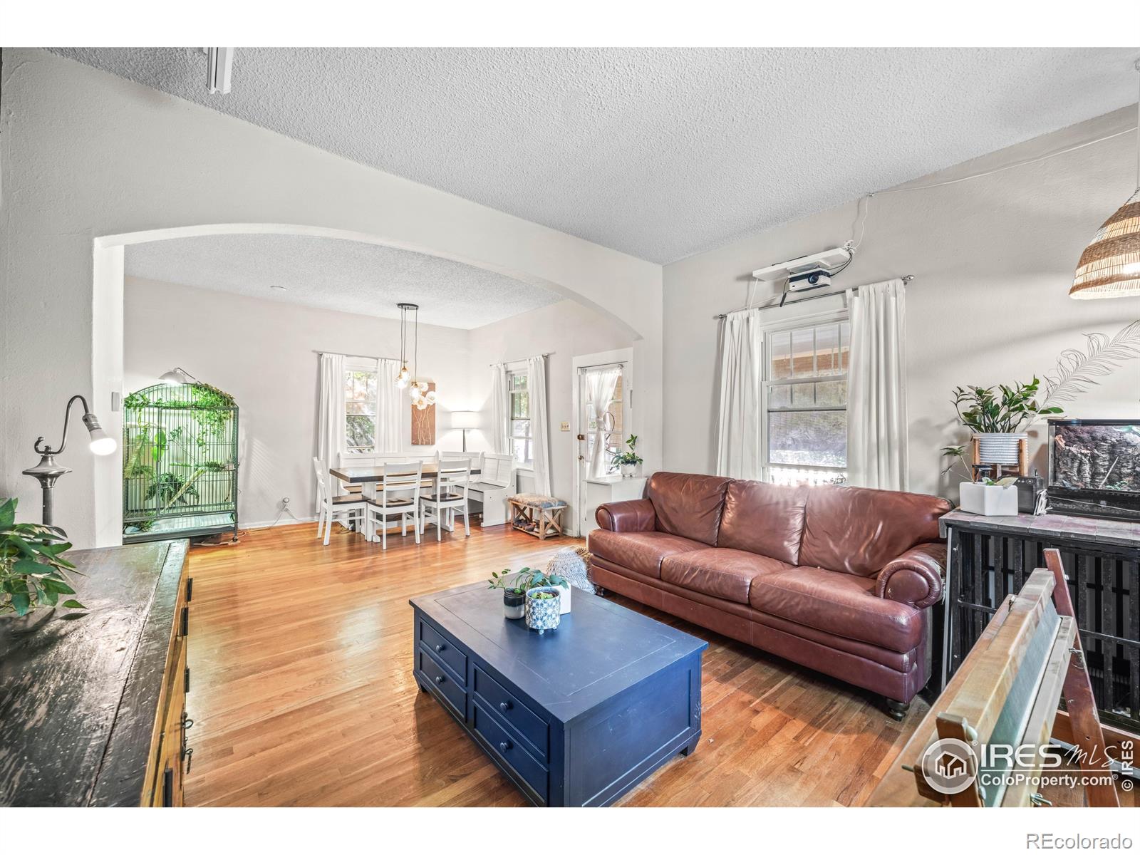 MLS Image #9 for 940  gay street,longmont, Colorado
