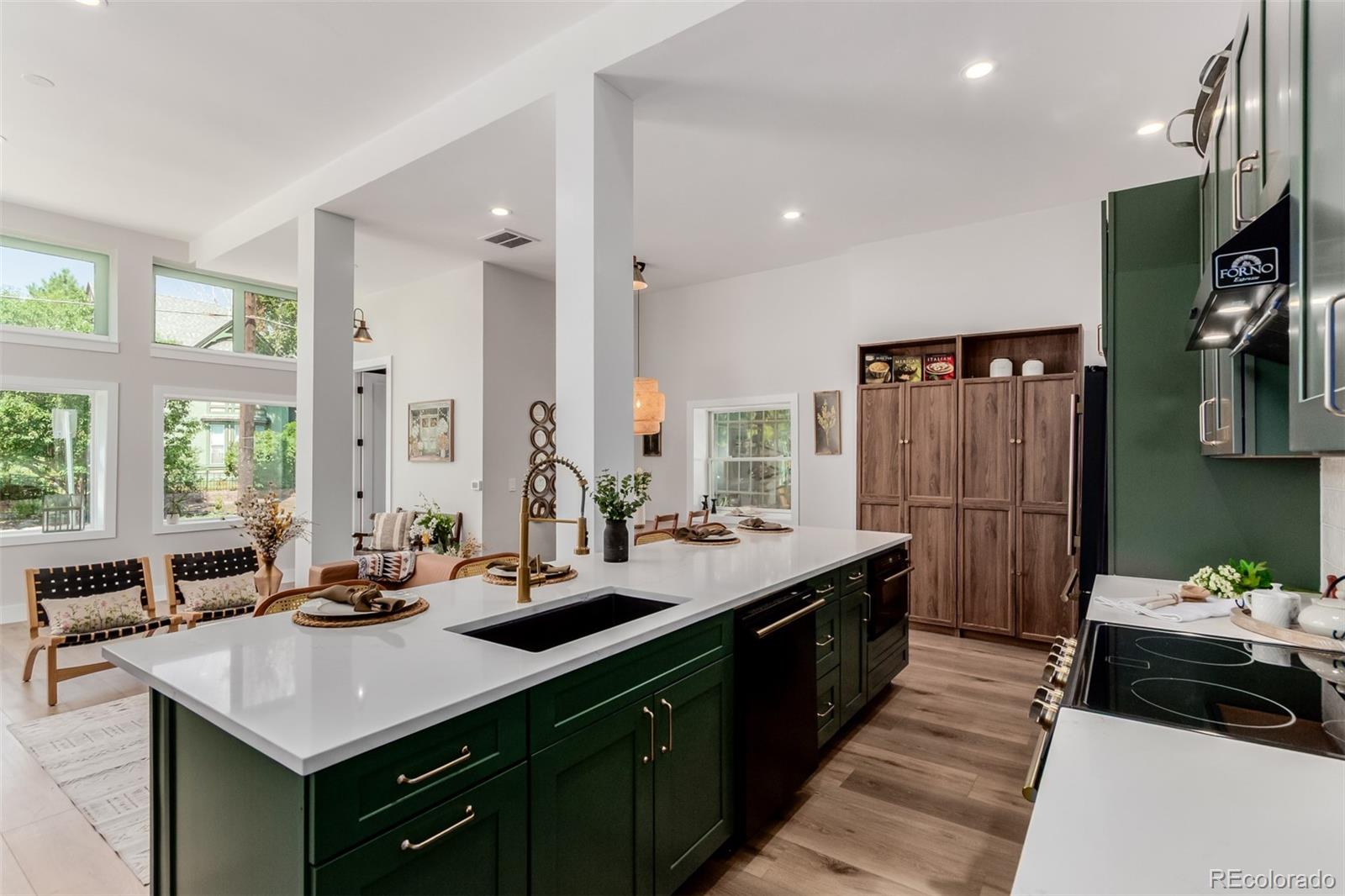 MLS Image #15 for 95 w byers place,denver, Colorado