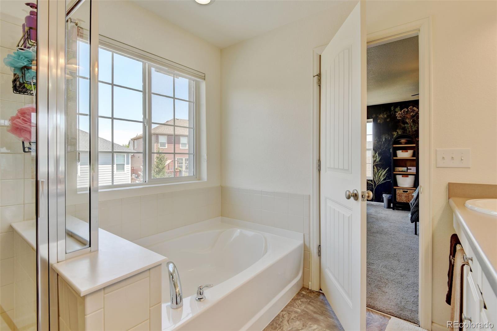 MLS Image #19 for 4863  wildflower place,dacono, Colorado