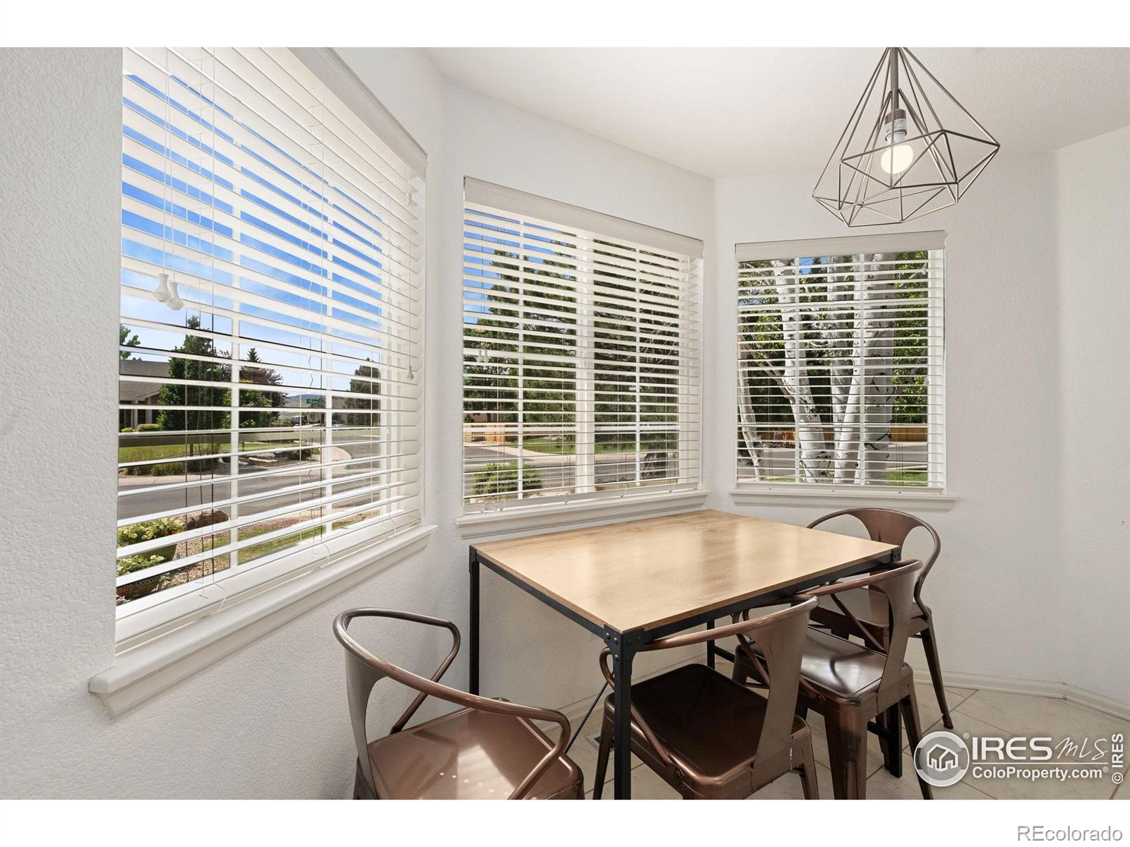 MLS Image #10 for 6836  timpas drive,fort collins, Colorado