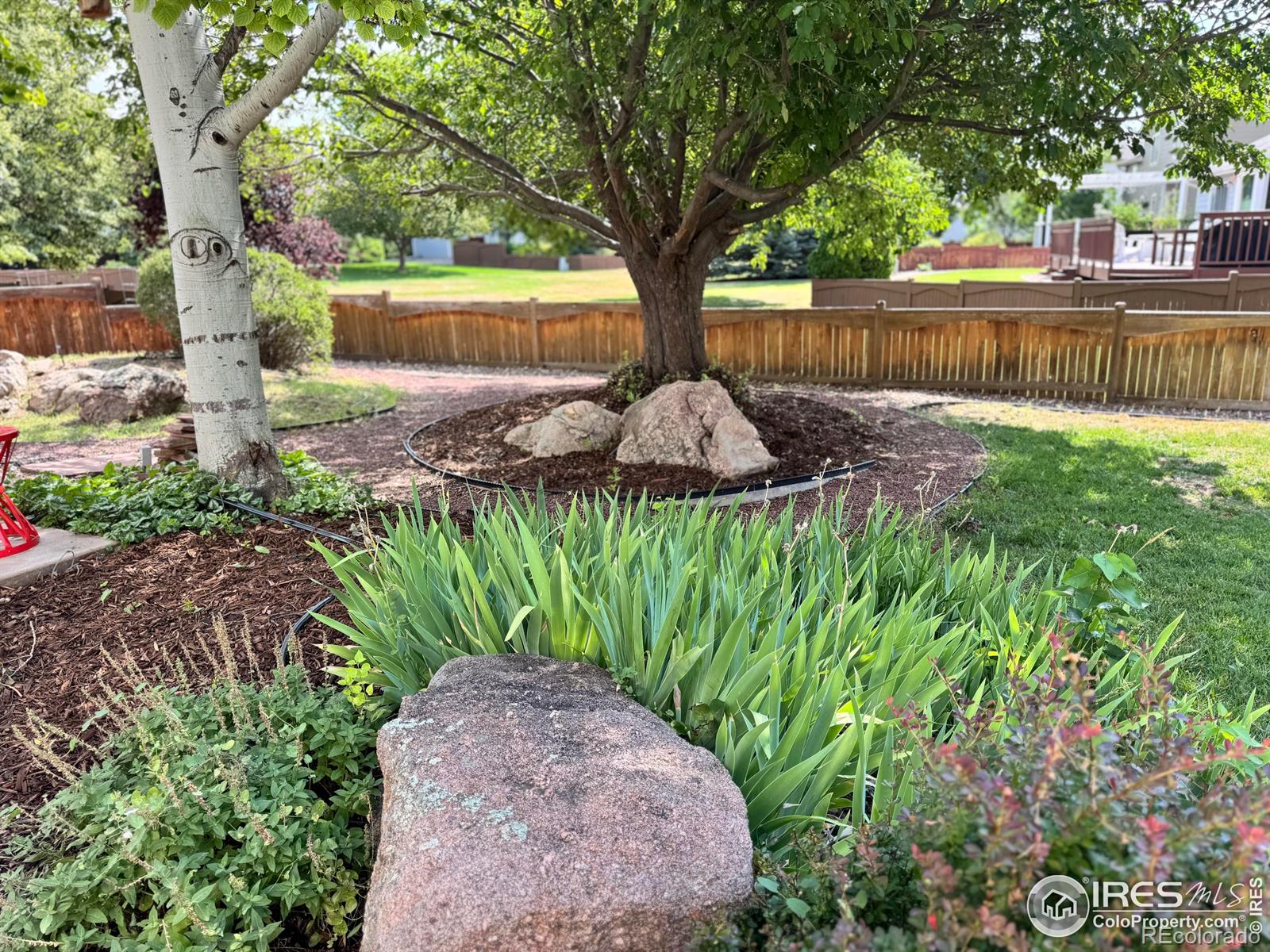 MLS Image #29 for 6836  timpas drive,fort collins, Colorado