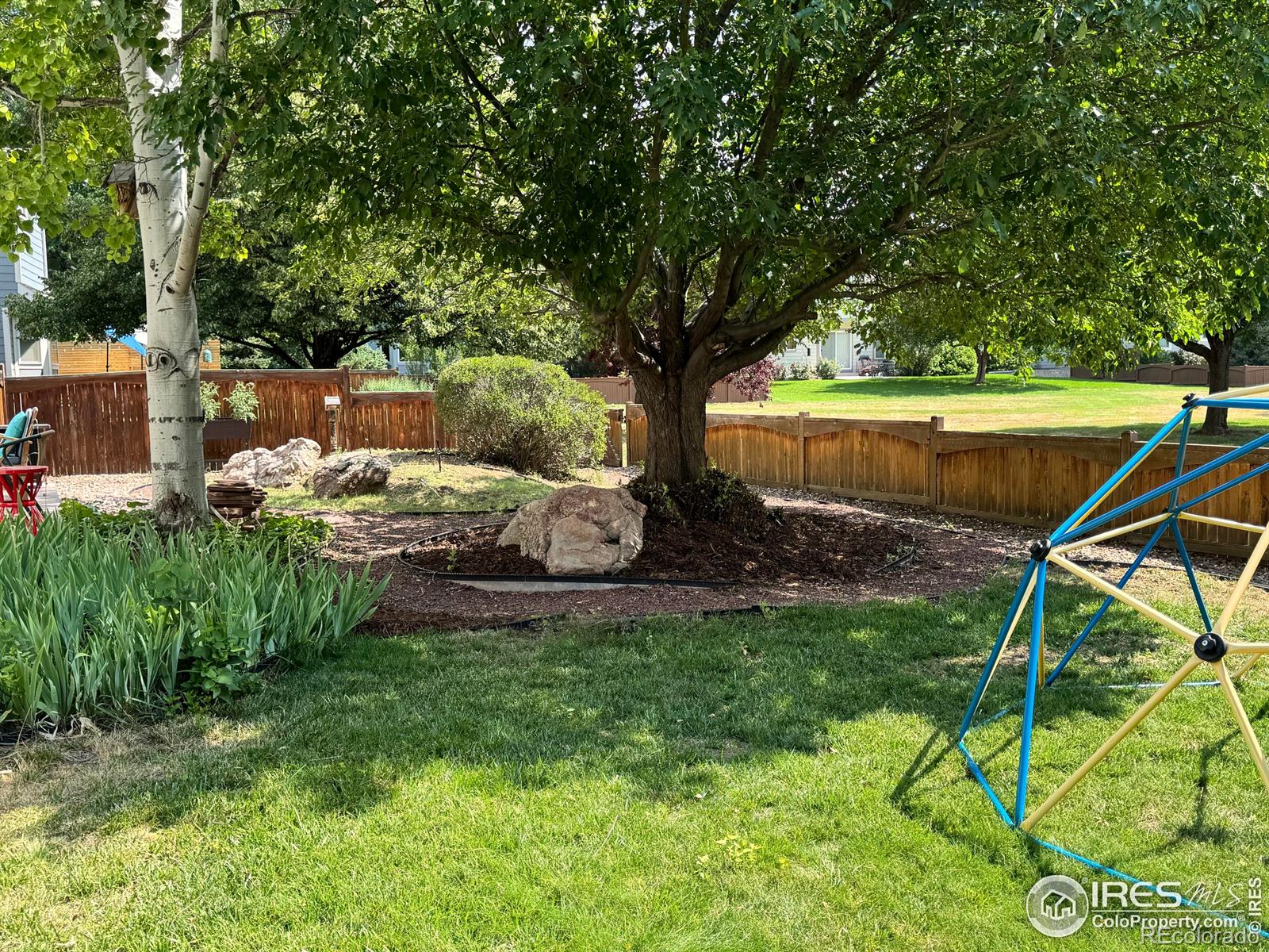 MLS Image #3 for 6836  timpas drive,fort collins, Colorado