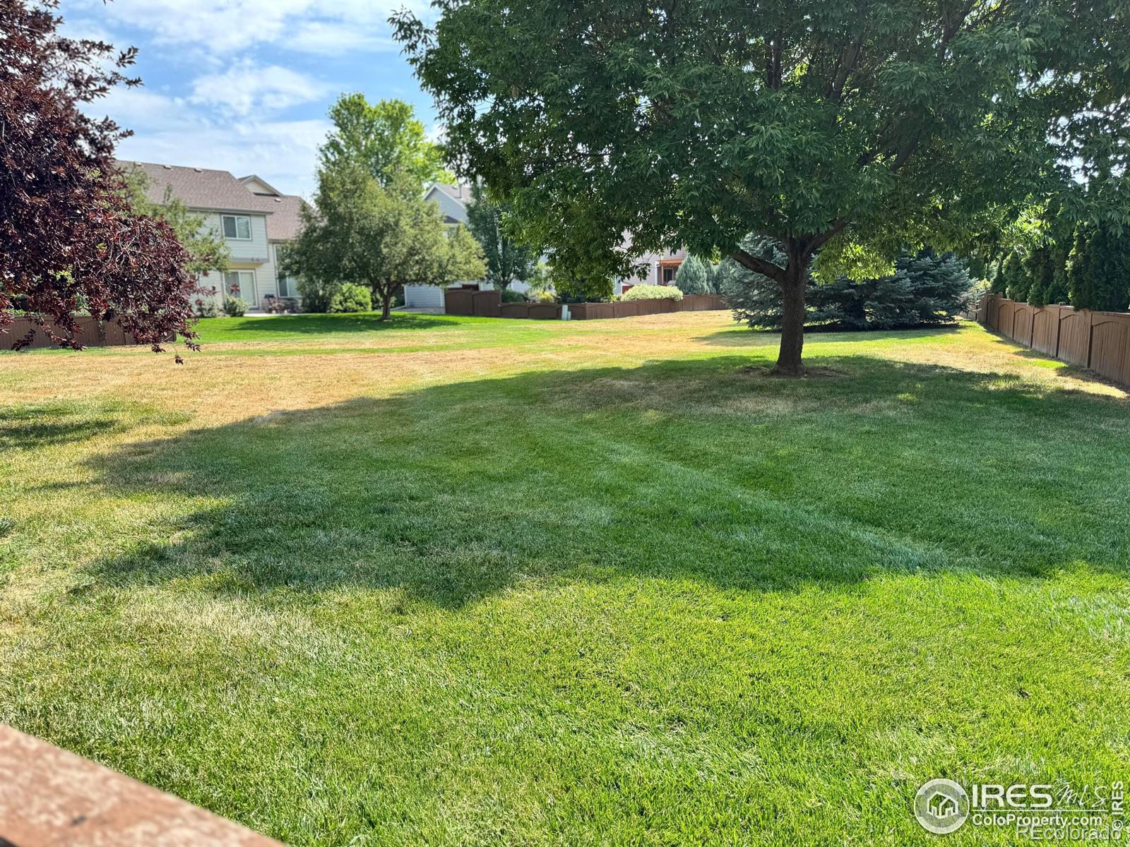 MLS Image #4 for 6836  timpas drive,fort collins, Colorado