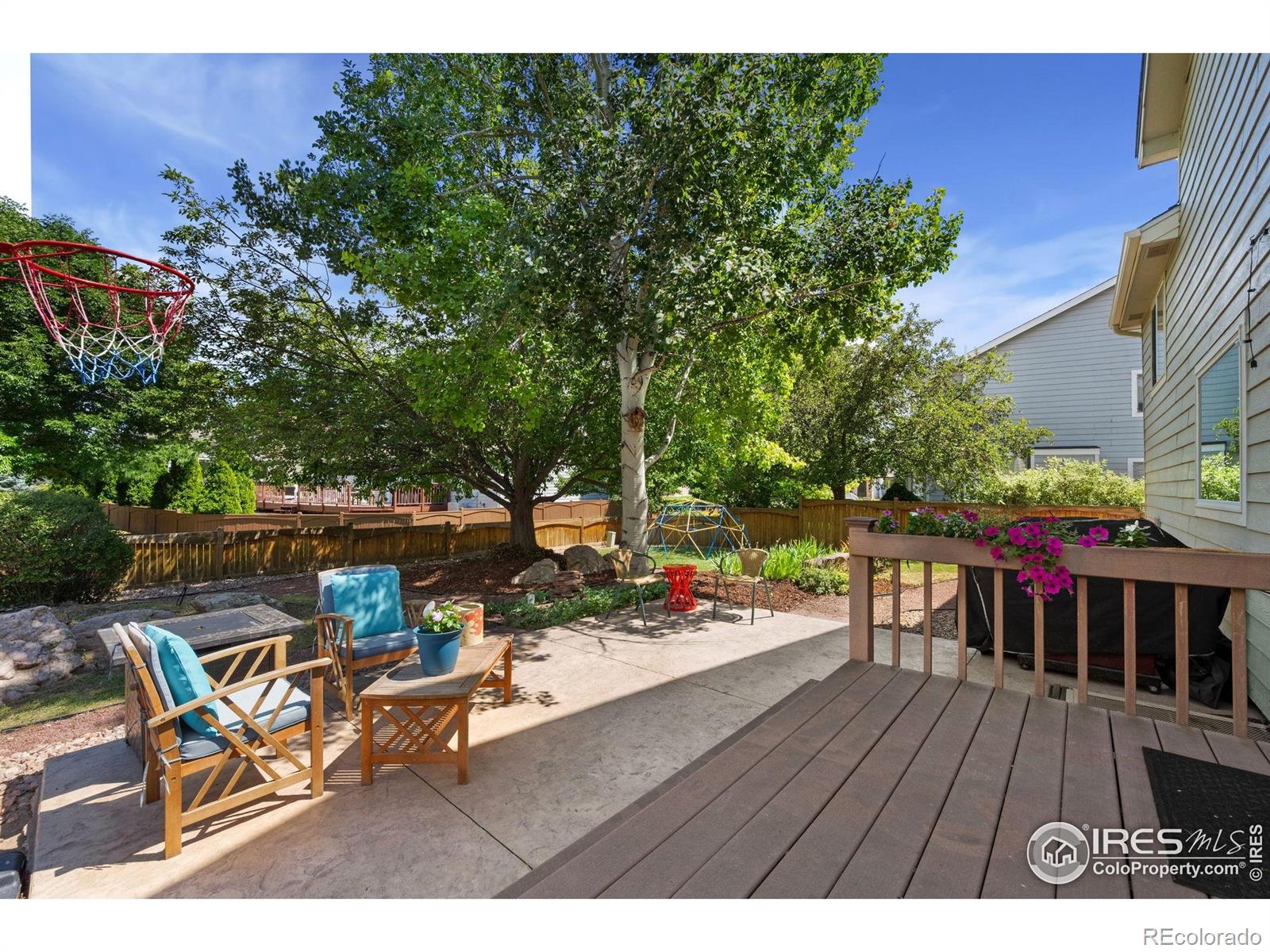 MLS Image #8 for 6836  timpas drive,fort collins, Colorado