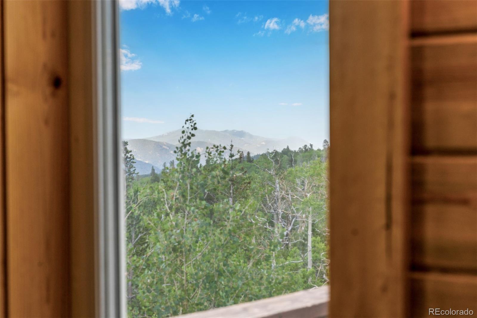 MLS Image #11 for 556  pisgah lake road,idaho springs, Colorado