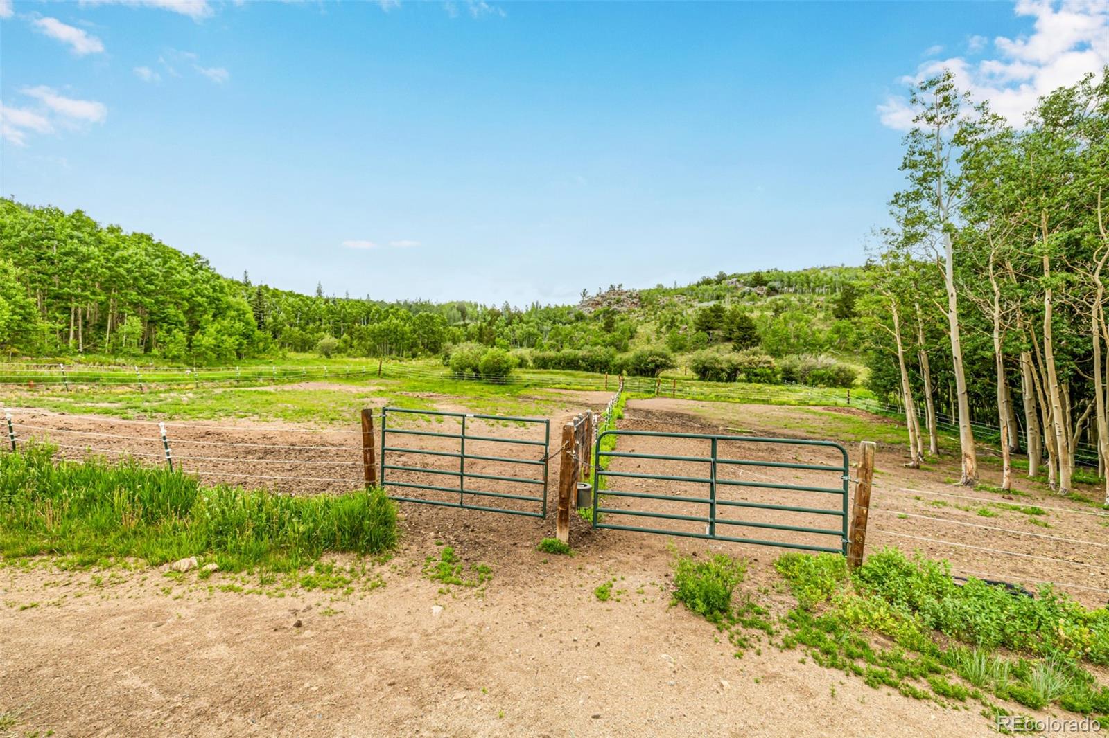 MLS Image #31 for 556  pisgah lake road,idaho springs, Colorado