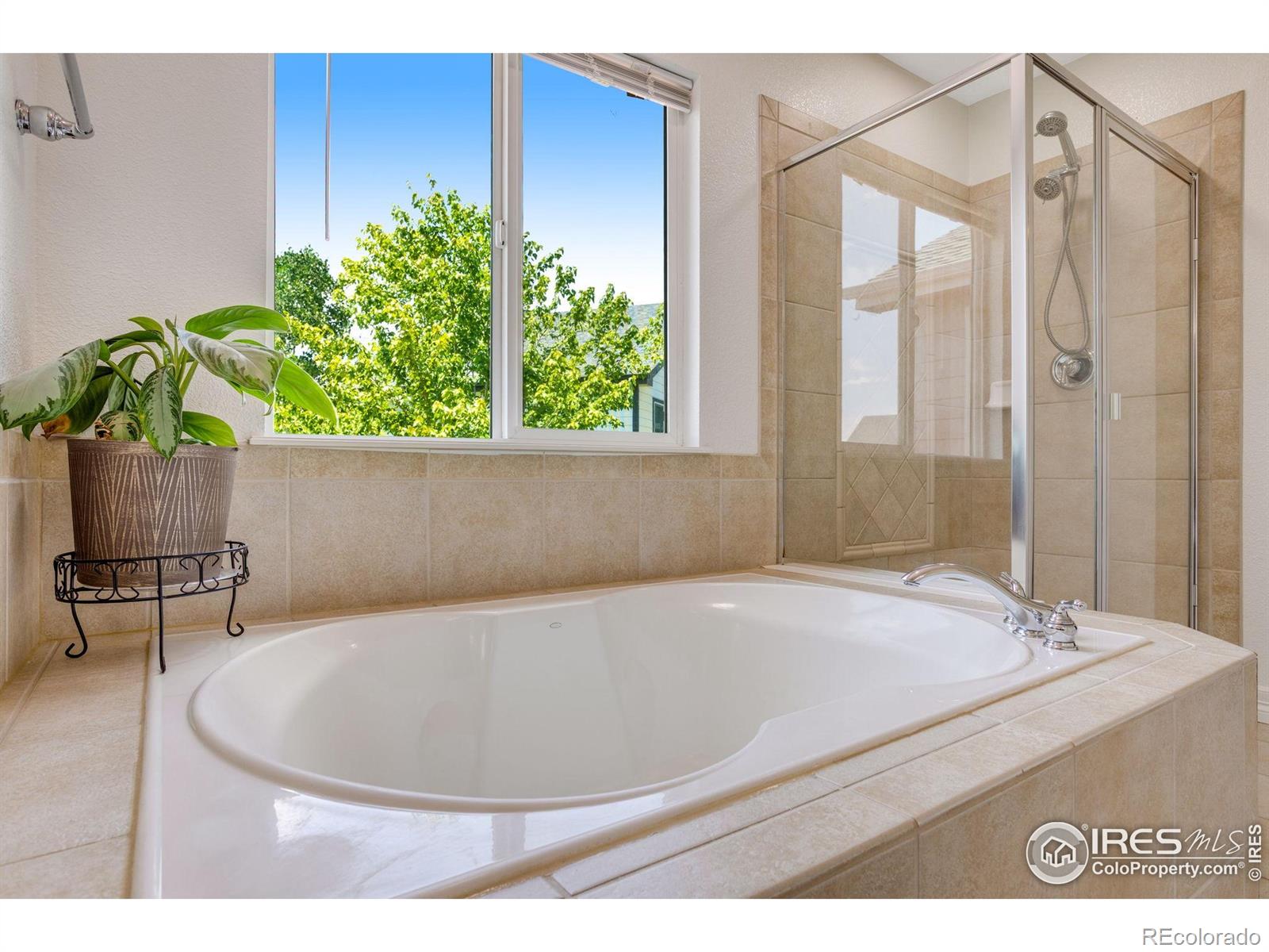 MLS Image #15 for 3007  sedgwick court,loveland, Colorado