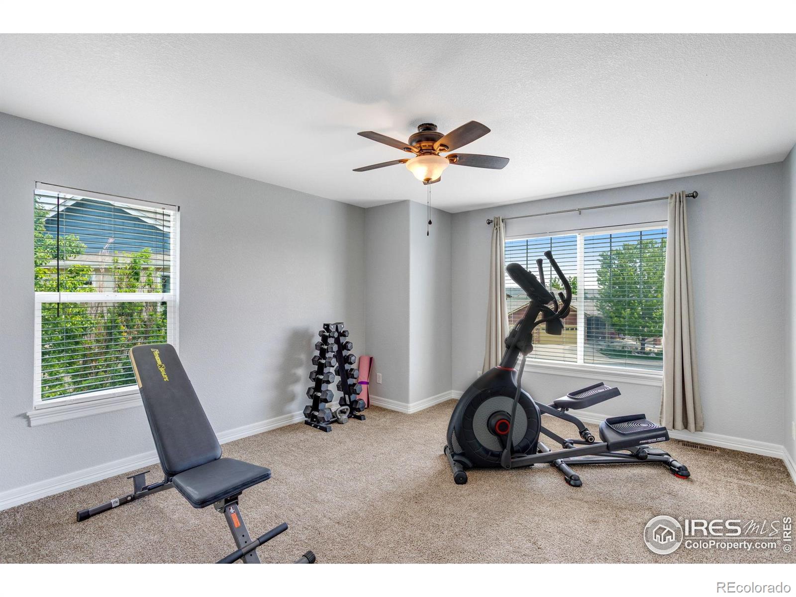 MLS Image #20 for 3007  sedgwick court,loveland, Colorado