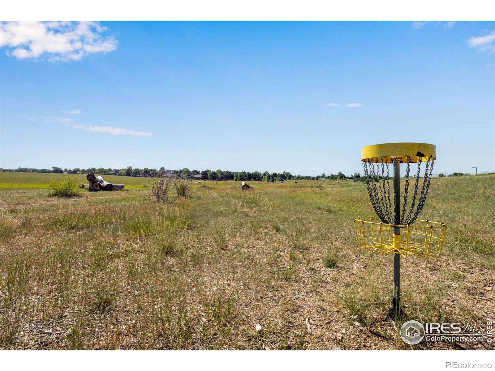MLS Image #32 for 3007  sedgwick court,loveland, Colorado