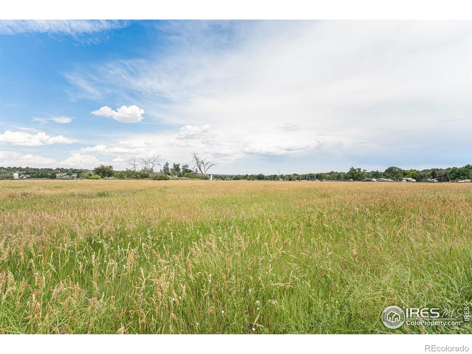 MLS Image #26 for 7293  xenophon court,arvada, Colorado