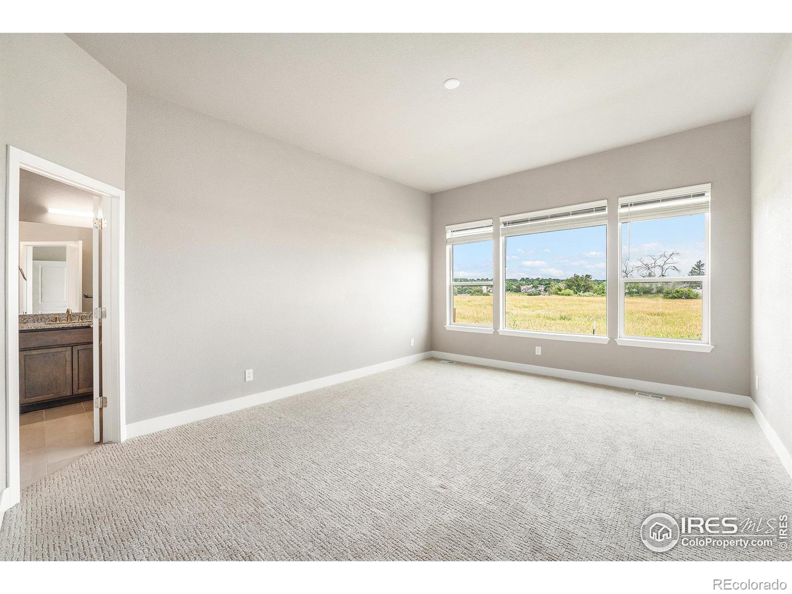 MLS Image #8 for 7293  xenophon court,arvada, Colorado