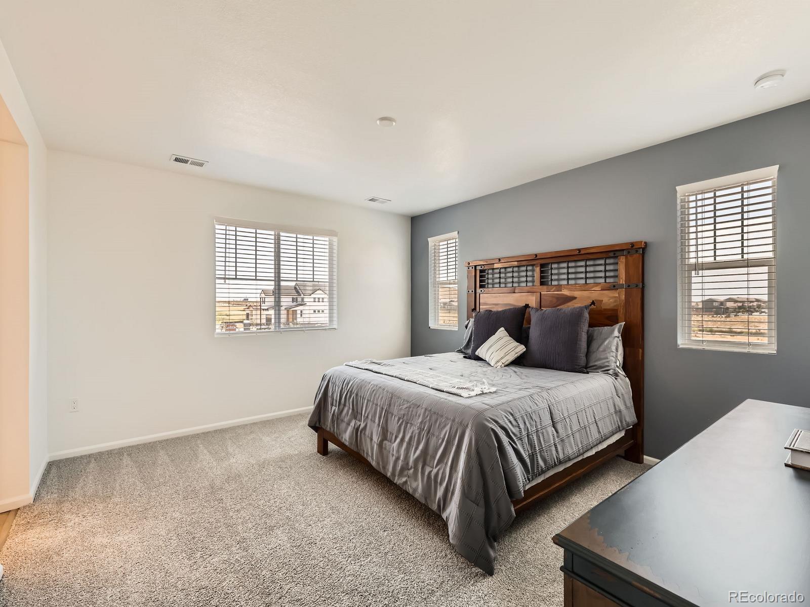 MLS Image #13 for 9054  truckee court,commerce city, Colorado
