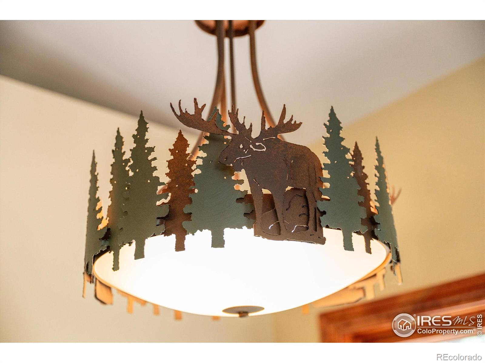MLS Image #14 for 200  falls creek drive,bellvue, Colorado