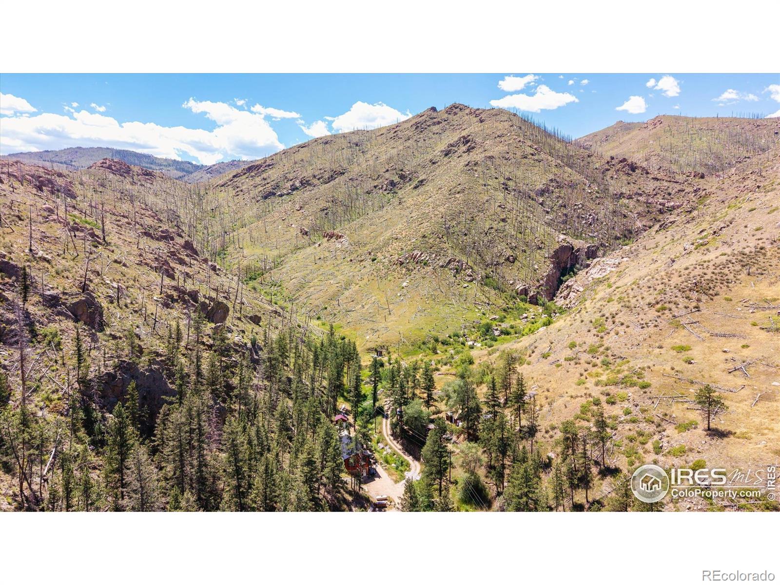 MLS Image #2 for 200  falls creek drive,bellvue, Colorado