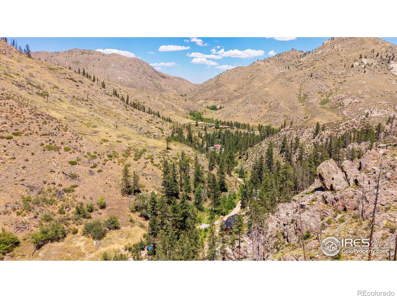 MLS Image #3 for 200  falls creek drive,bellvue, Colorado