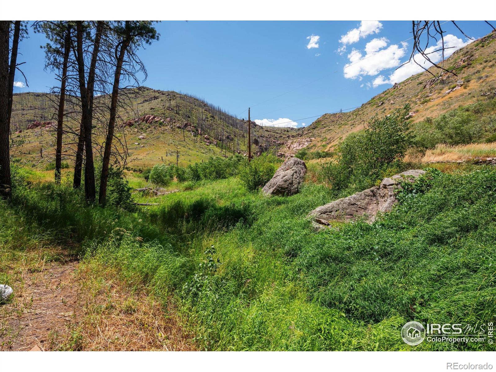 MLS Image #8 for 200  falls creek drive,bellvue, Colorado