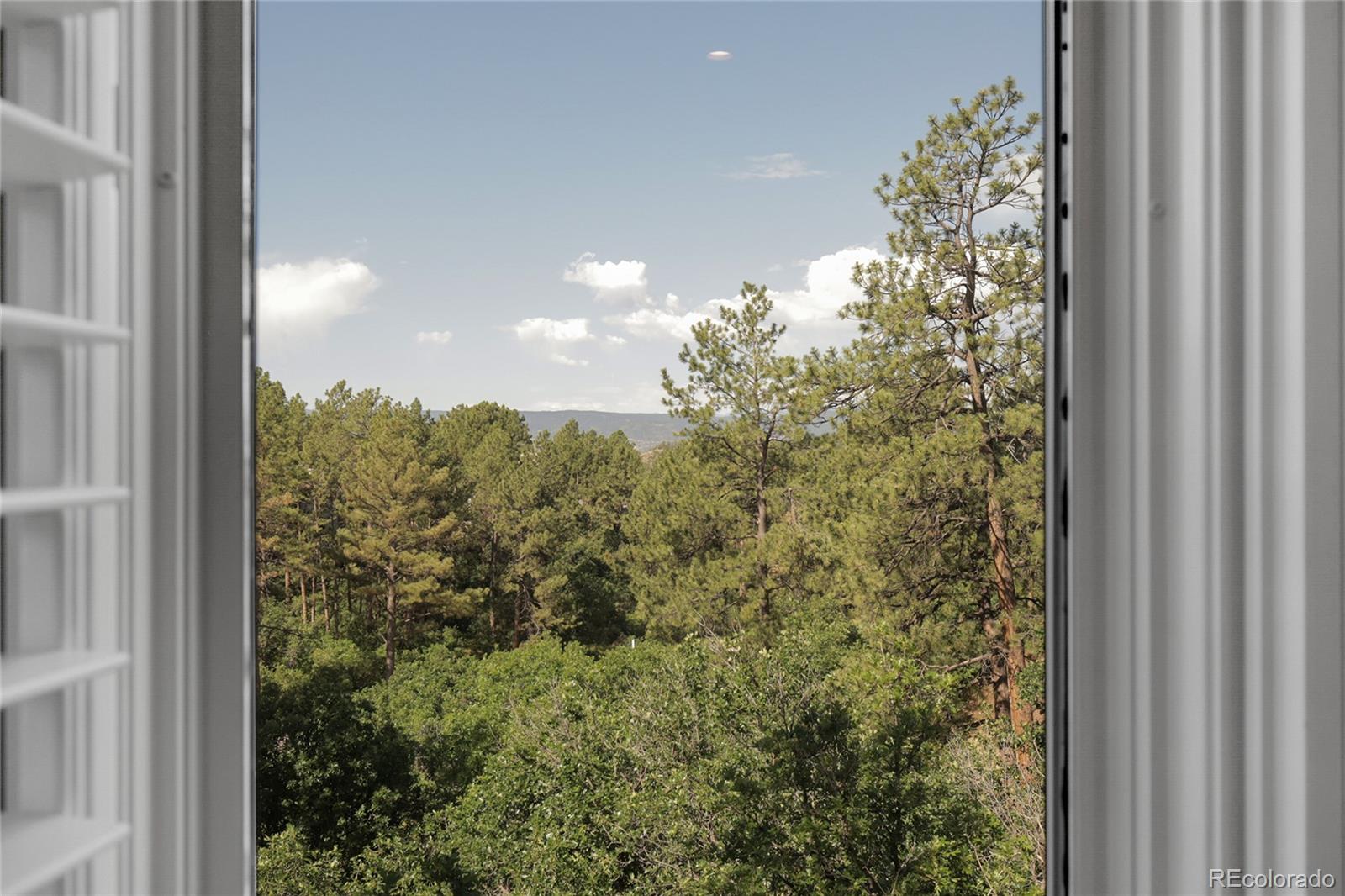 MLS Image #26 for 917  dakota drive,castle rock, Colorado