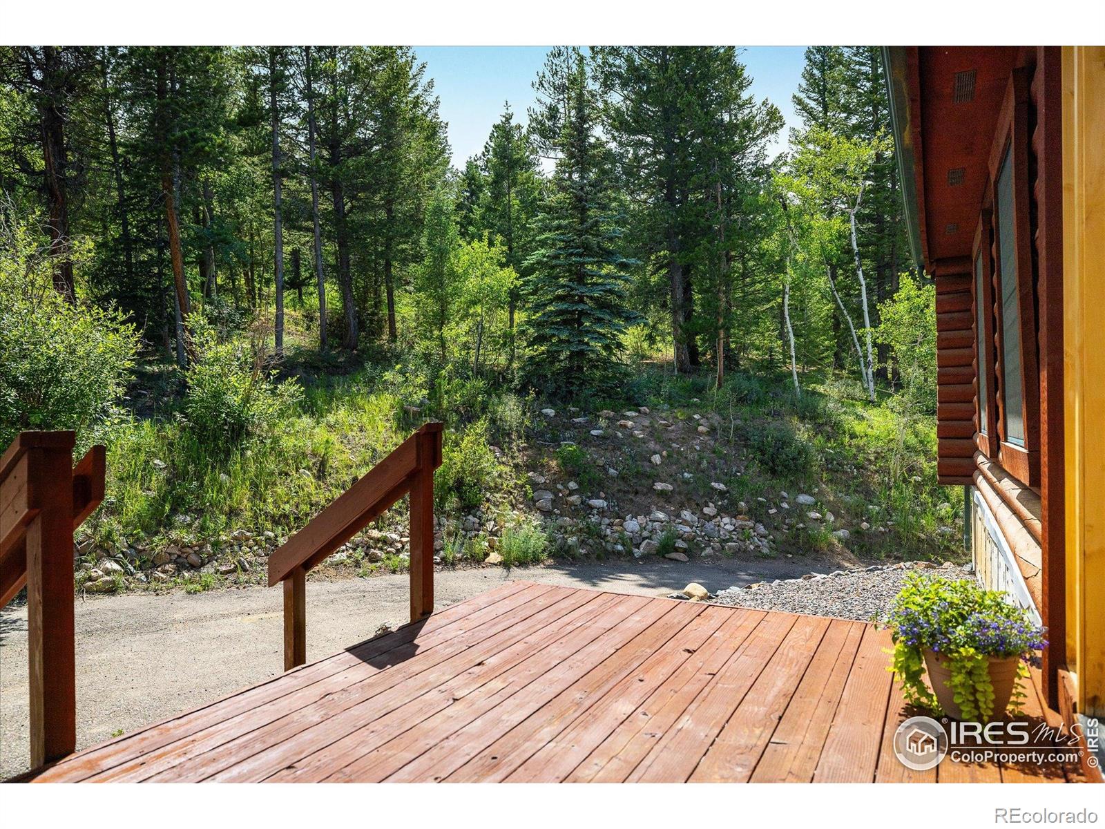 MLS Image #1 for 280  hummer drive,nederland, Colorado