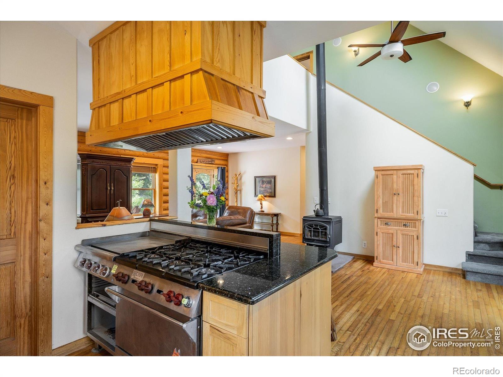 MLS Image #10 for 280  hummer drive,nederland, Colorado