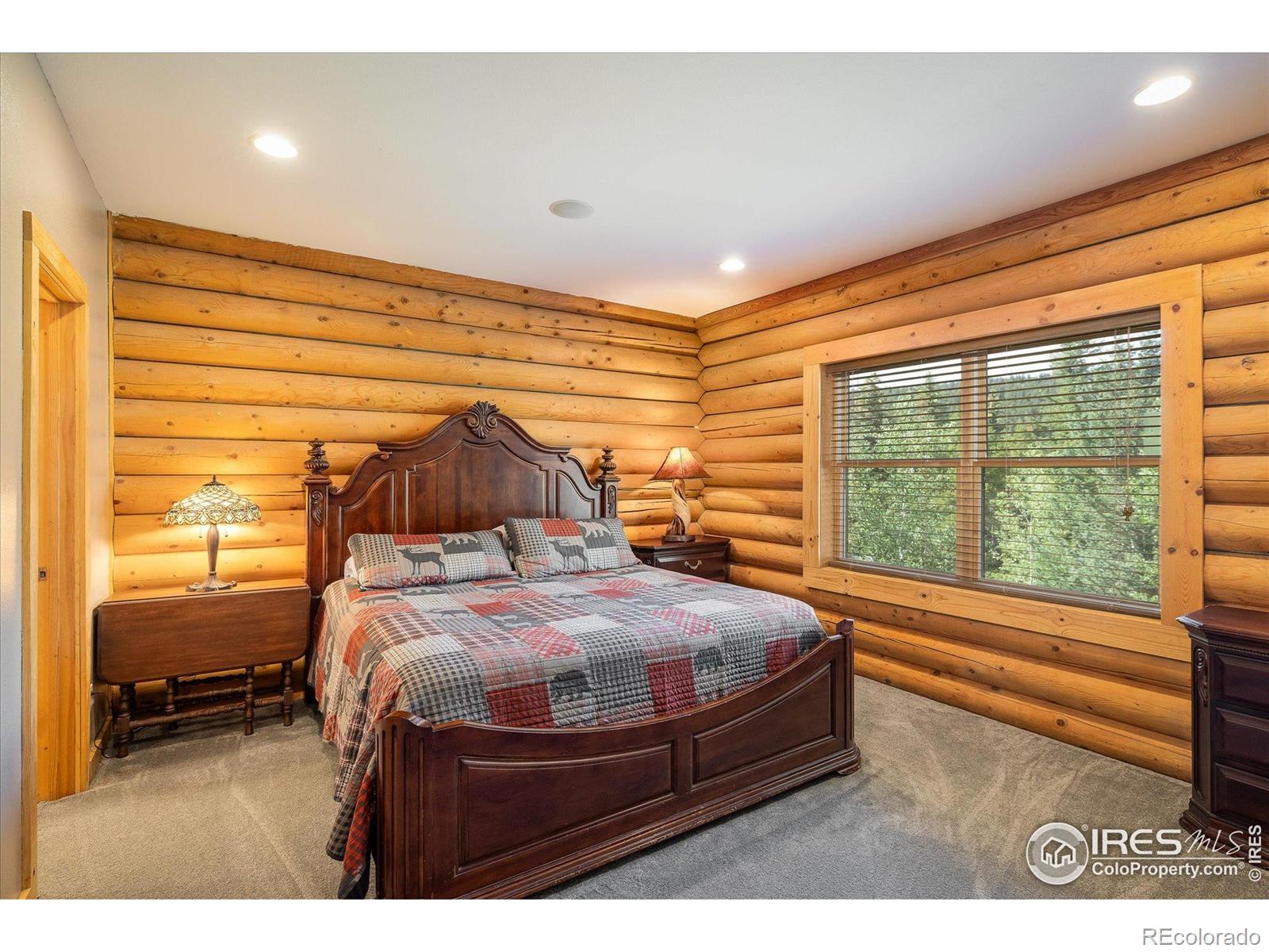 MLS Image #13 for 280  hummer drive,nederland, Colorado