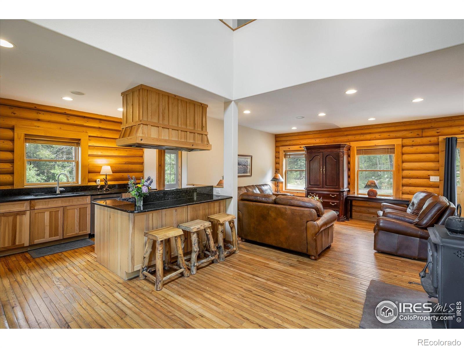 MLS Image #3 for 280  hummer drive,nederland, Colorado