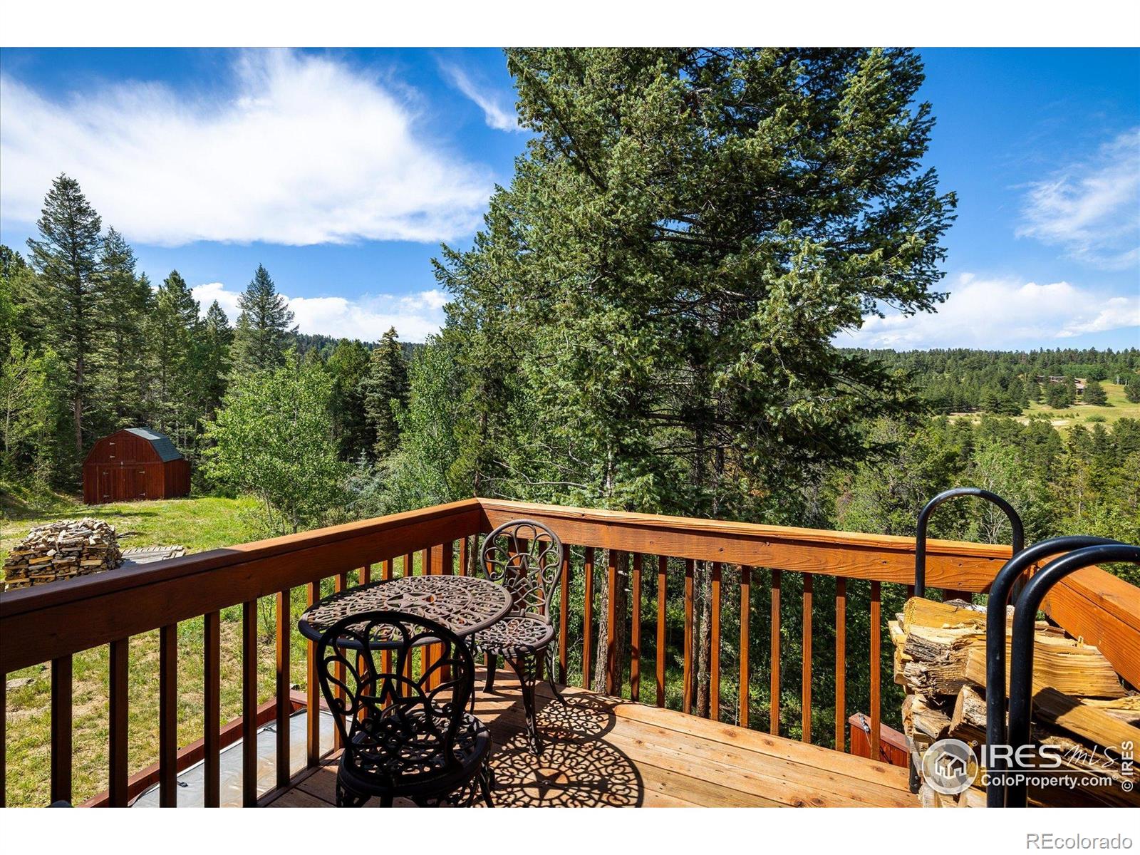MLS Image #7 for 280  hummer drive,nederland, Colorado