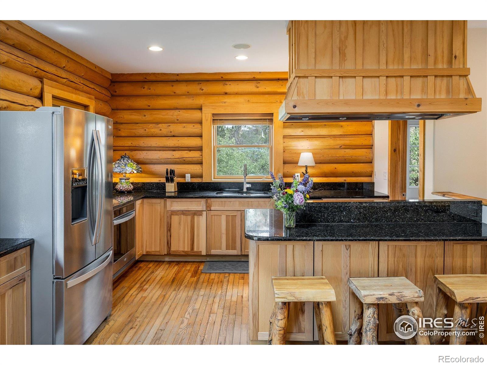 MLS Image #9 for 280  hummer drive,nederland, Colorado
