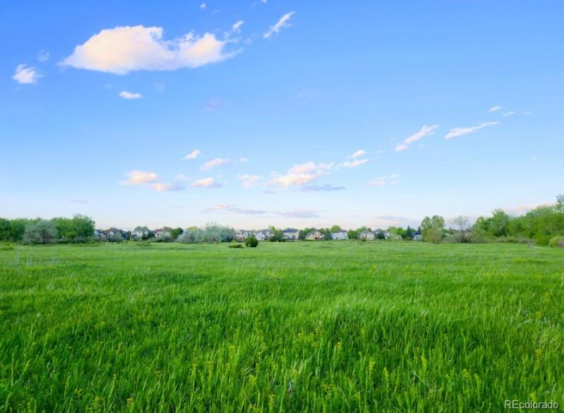 MLS Image #37 for 5979 s fairplay street,centennial, Colorado