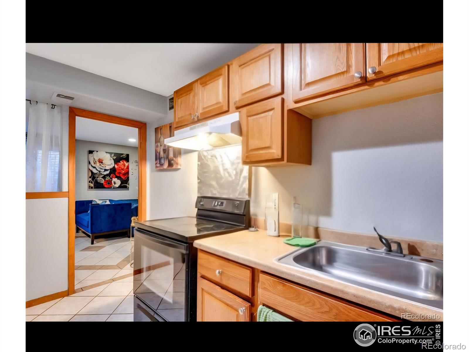 MLS Image #20 for 5519  tucson street,denver, Colorado