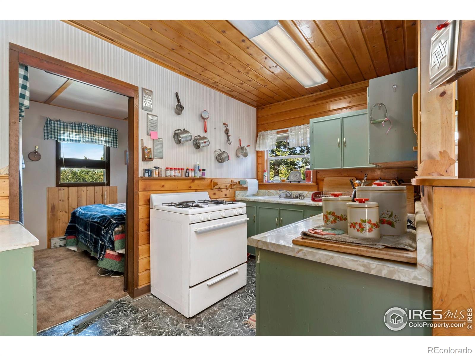 MLS Image #10 for 983  ramona drive,red feather lakes, Colorado