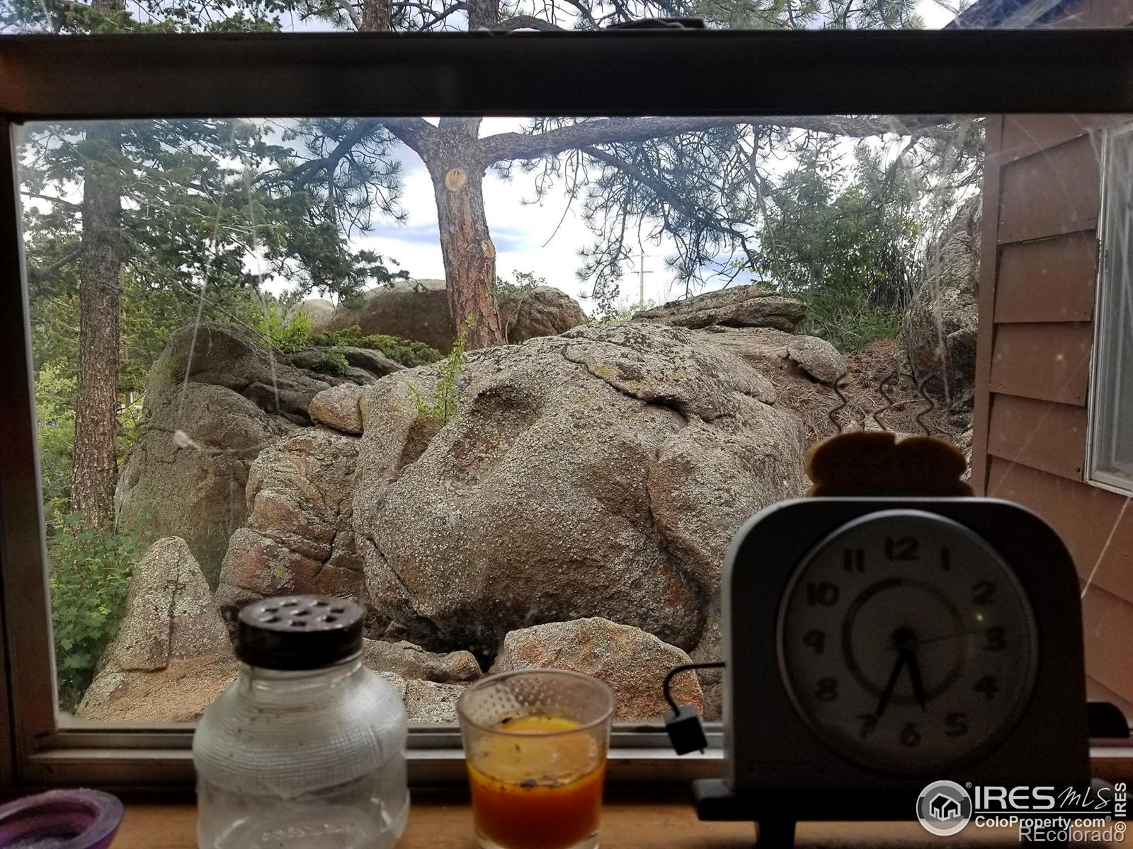 MLS Image #12 for 983  ramona drive,red feather lakes, Colorado