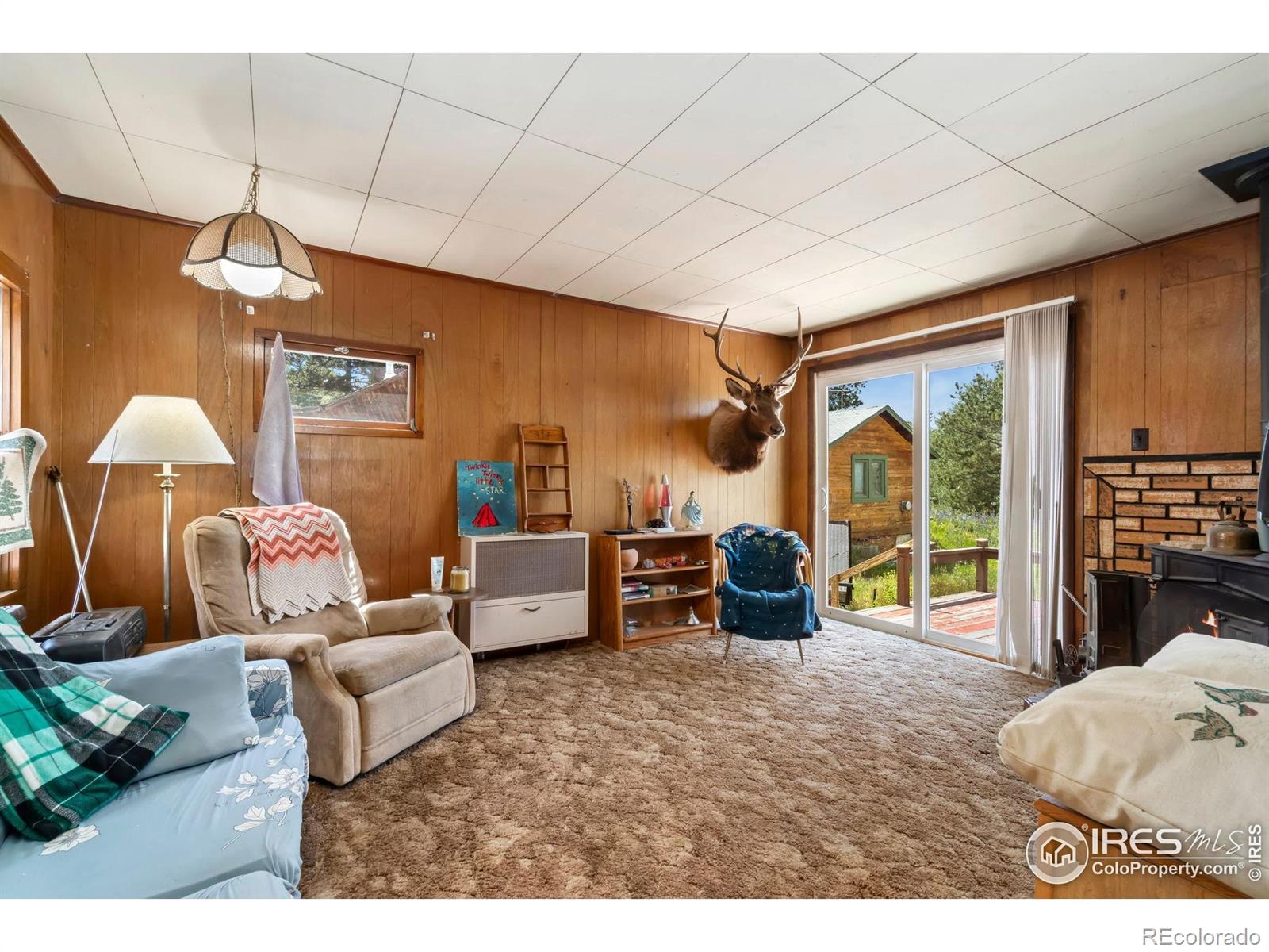 MLS Image #14 for 983  ramona drive,red feather lakes, Colorado