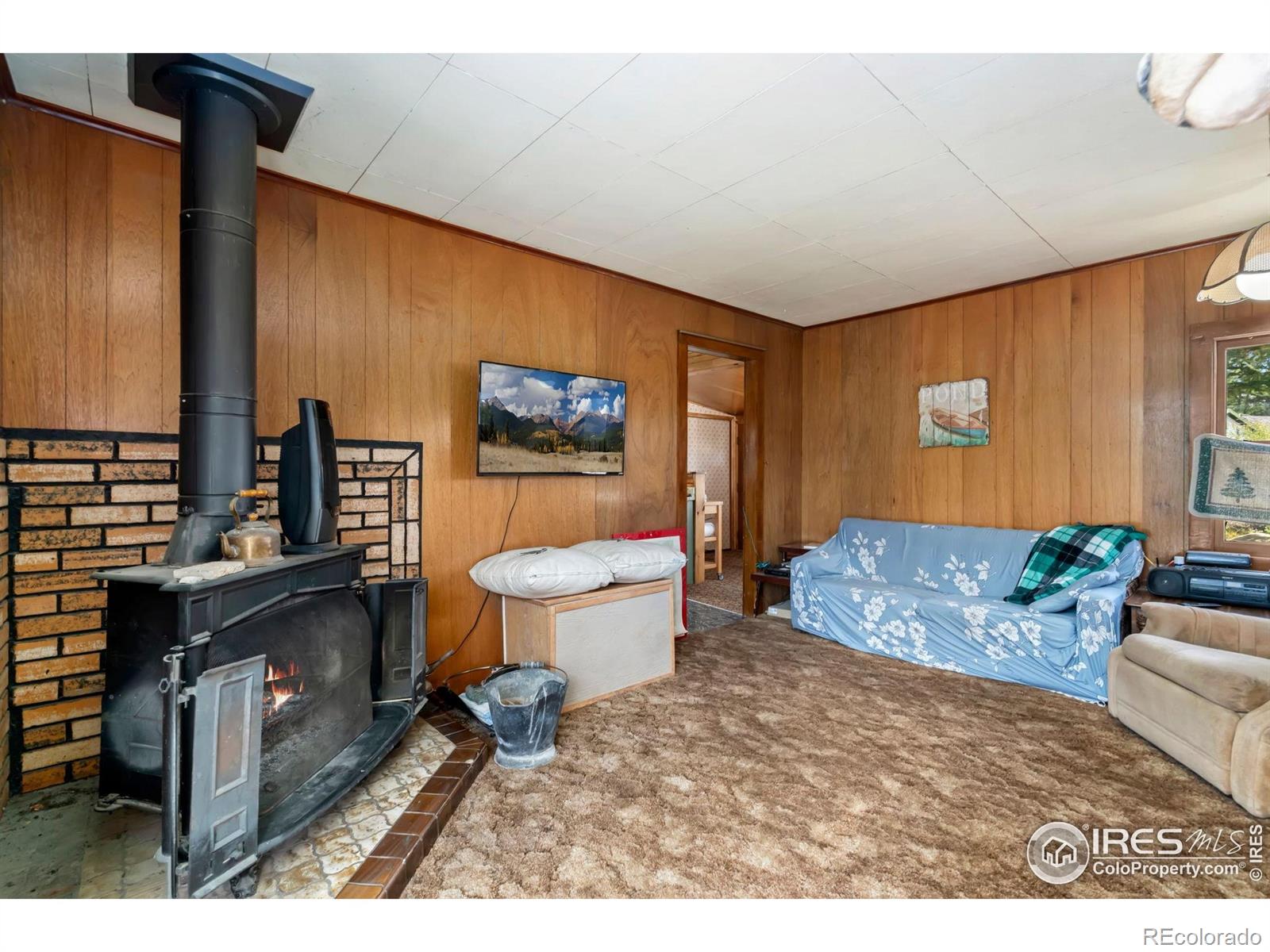 MLS Image #15 for 983  ramona drive,red feather lakes, Colorado
