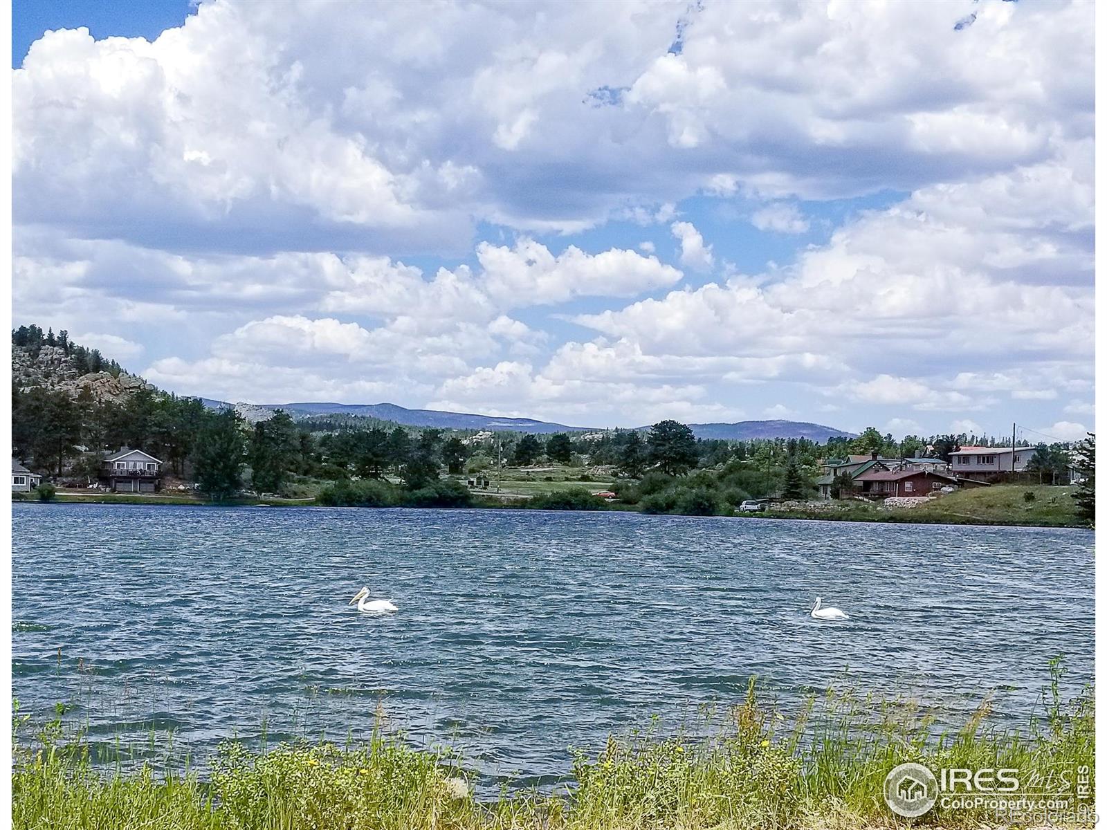 MLS Image #2 for 983  ramona drive,red feather lakes, Colorado