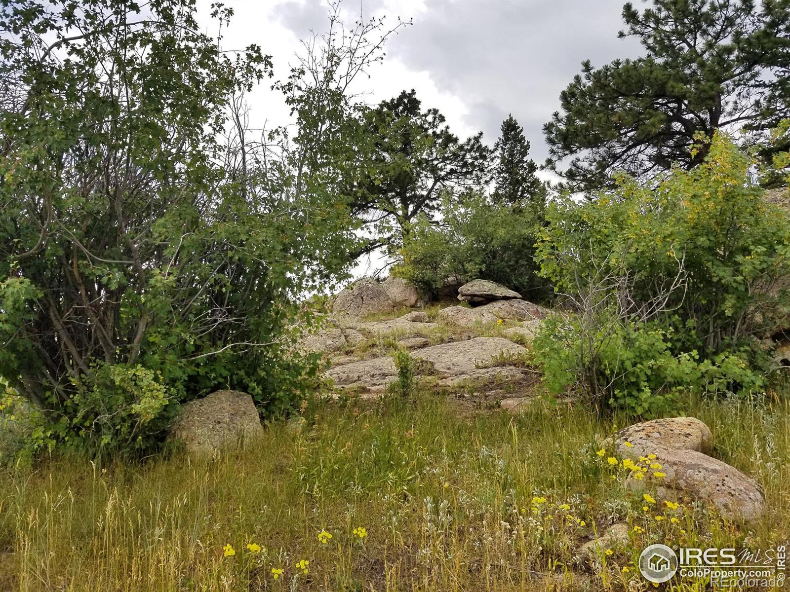 MLS Image #29 for 983  ramona drive,red feather lakes, Colorado