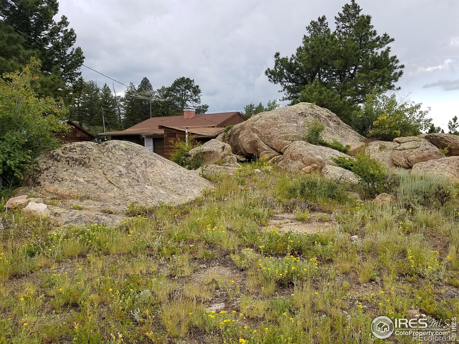 MLS Image #4 for 983  ramona drive,red feather lakes, Colorado