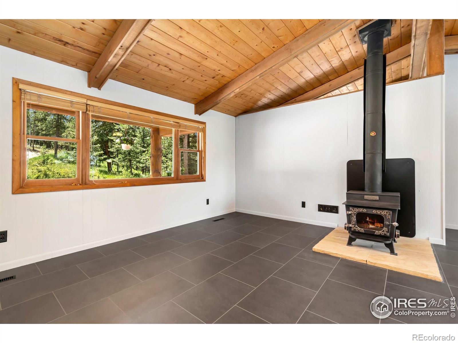 MLS Image #10 for 556  bald mountain drive,livermore, Colorado